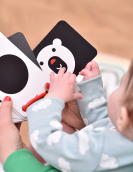 Flashcards 10un Alto Contraste 0 meses + com argola