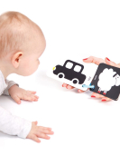 Flashcards 10un Alto Contraste 3 meses + com argola
