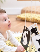 Flashcards 10un Alto Contraste 3 meses + com argola