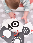 Flashcards 10un Alto Contraste 0 meses + com argola