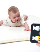 Flashcards 24un de Alto Contraste (0 e 3 meses+)