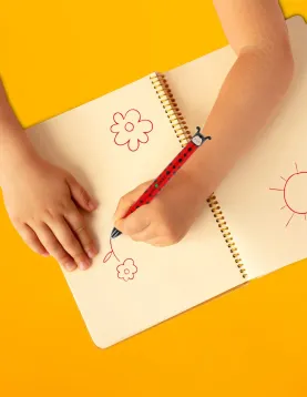 Ladybug Two-Colour Ballpoint Pen - Click&amp;Clack