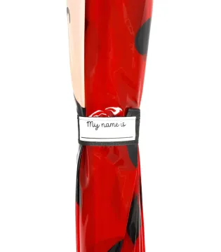 Ladybug Kids' Umbrella - Dancin’ in the Rain