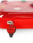 Ladybug Rigid Transparent Pencil Case - WonderWow